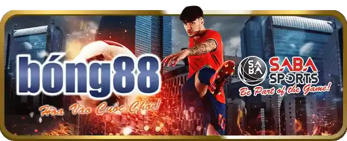 Phân tích nền tảng 28bey nhà cái